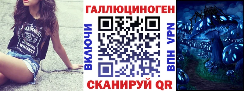 Купить где  Ессентуки  Псилоцибиновые грибы мицелий 